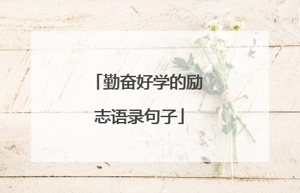 勤奋好学的励志语录句子