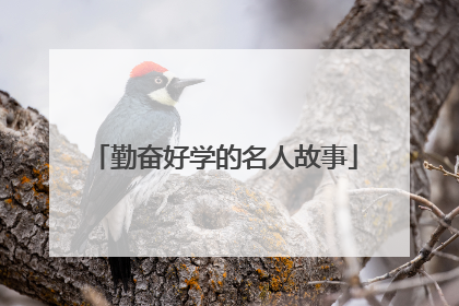 勤奋好学的名人故事