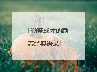 勤奋成才的励志经典语录