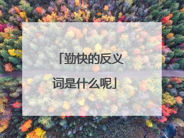 勤快的反义词是什么呢