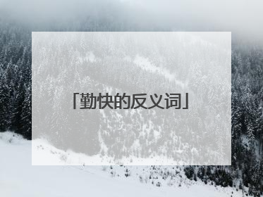 勤快的反义词