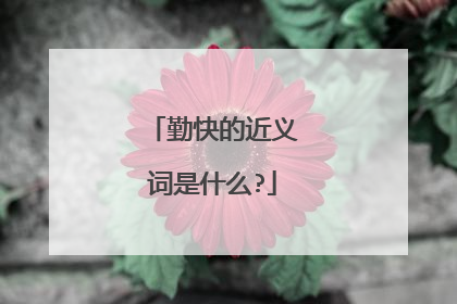 勤快的近义词是什么?