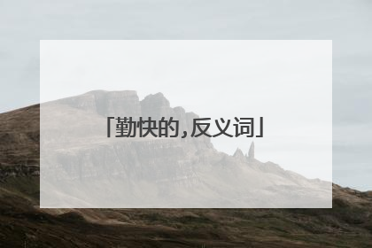 勤快的,反义词