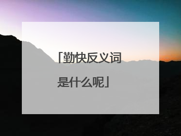 勤快反义词是什么呢