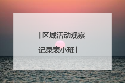 区域活动观察记录表小班