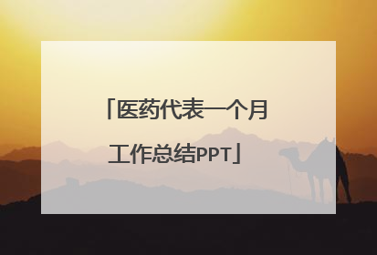 医药代表一个月工作总结PPT