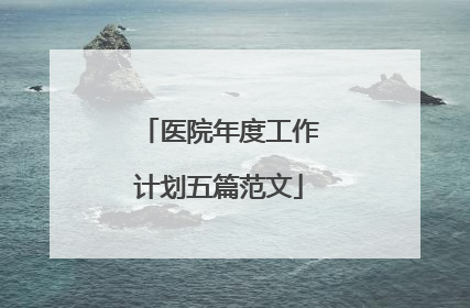 医院年度工作计划五篇范文