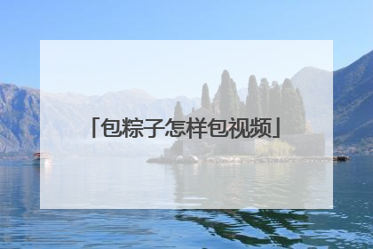 包粽子怎样包视频