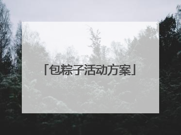 包粽子活动方案
