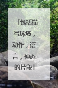 包括描写环境，动作，语言，神态的片段