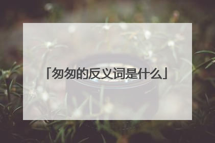 匆匆的反义词是什么