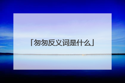 匆匆反义词是什么