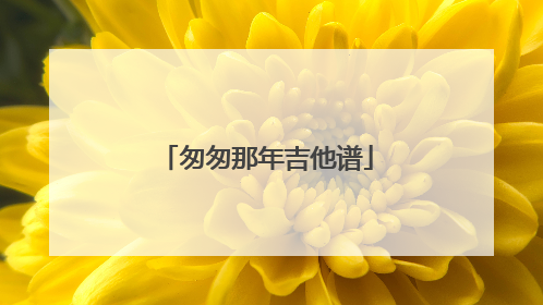 匆匆那年吉他谱