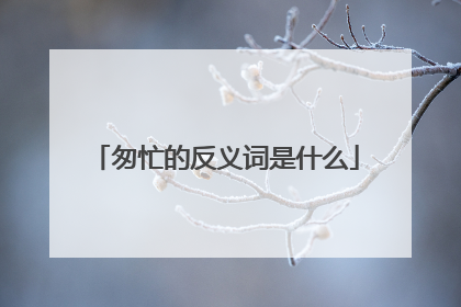 匆忙的反义词是什么