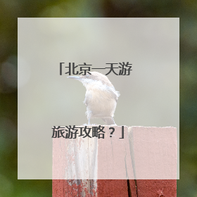 北京一天游旅游攻略?