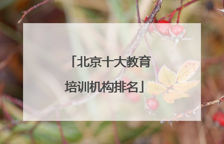 北京十大教育培训机构排名