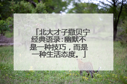 北大才子撒贝宁经典语录:幽默不是一种技巧，而是一种生活态度。