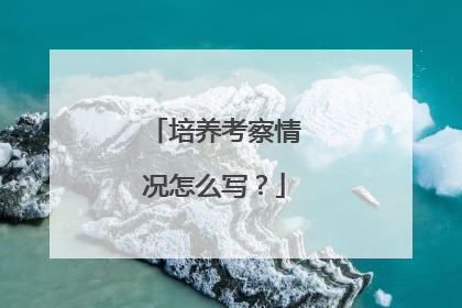 培养考察情况怎么写？