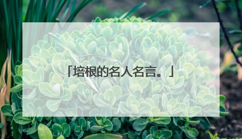 培根的名人名言。