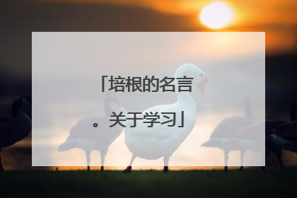 培根的名言。关于学习