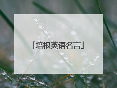 培根英语名言