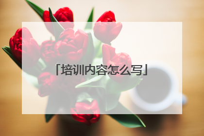 培训内容怎么写
