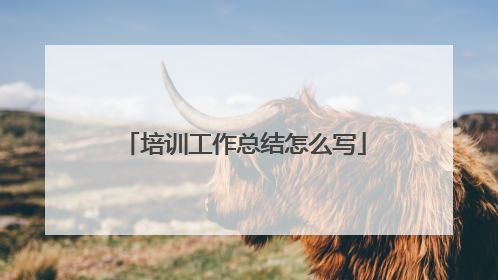 培训工作总结怎么写