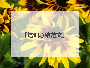 培训总结范文