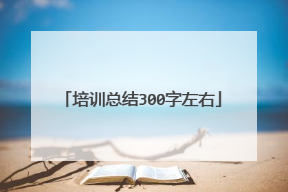 培训总结300字左右
