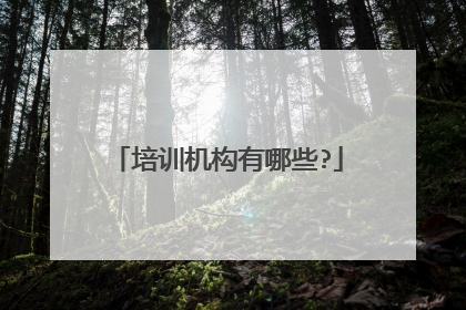 培训机构有哪些?