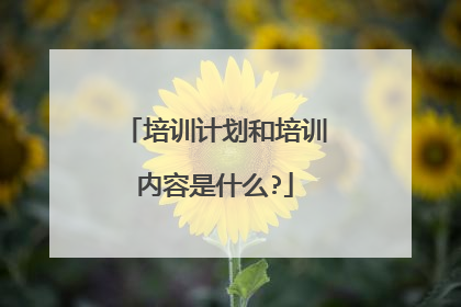 培训计划和培训内容是什么?