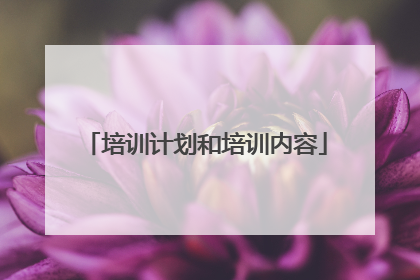 培训计划和培训内容