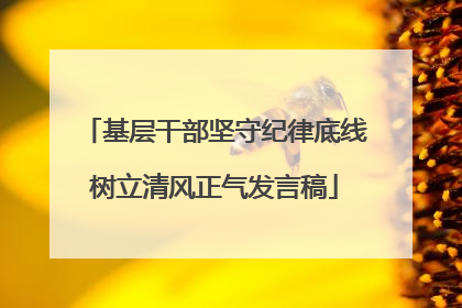 基层干部坚守纪律底线树立清风正气发言稿