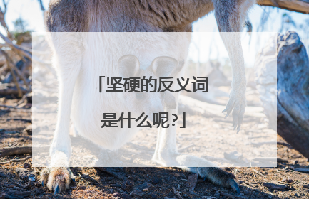 坚硬的反义词是什么呢?