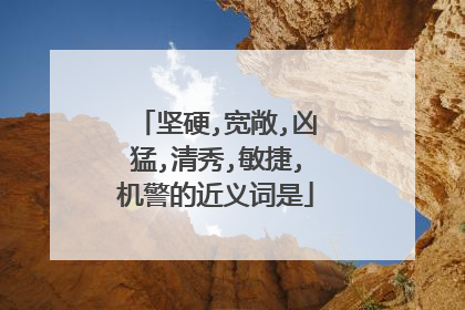 坚硬,宽敞,凶猛,清秀,敏捷,机警的近义词是