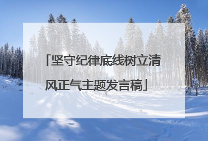坚守纪律底线树立清风正气主题发言稿
