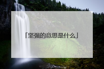 坚强的意思是什么