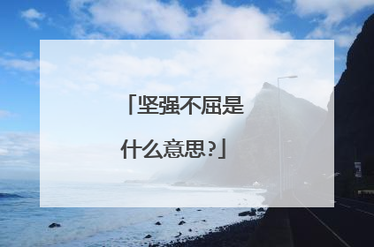 坚强不屈是什么意思?