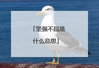 坚强不屈是什么意思