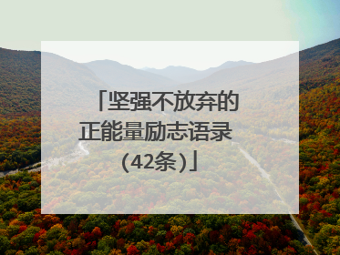 坚强不放弃的正能量励志语录(42条)
