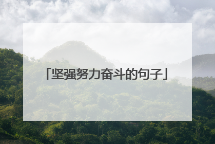 坚强努力奋斗的句子