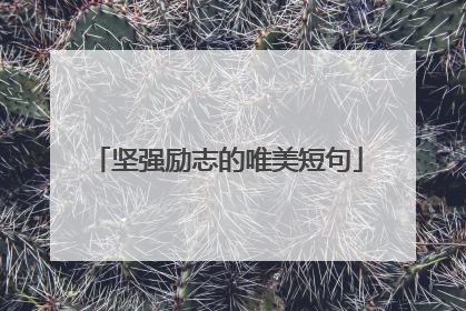 坚强励志的唯美短句