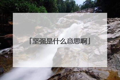 坚强是什么意思啊