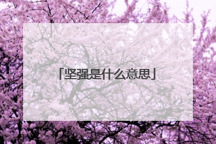 坚强是什么意思