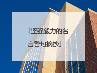 坚强毅力的名言警句摘抄