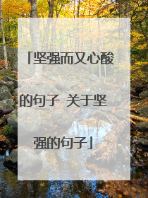 坚强而又心酸的句子 关于坚强的句子