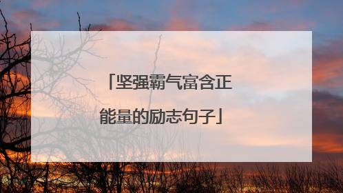 坚强霸气富含正能量的励志句子