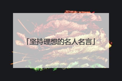 坚持理想的名人名言