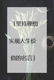 坚持理想实现人生价值的名言