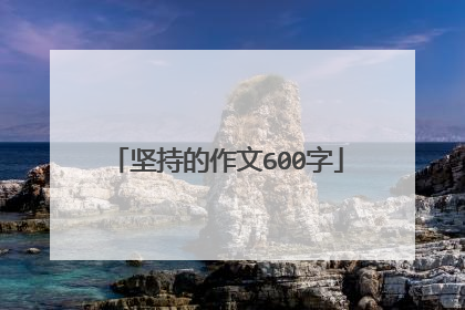 坚持的作文600字